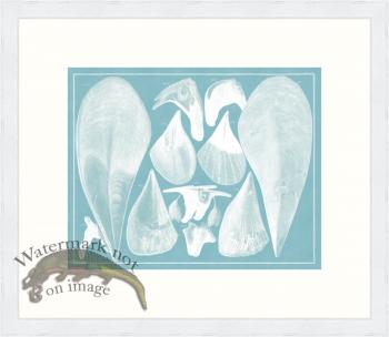 Seba B2 091 Claim WFBP